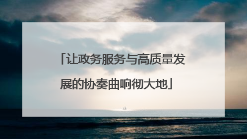 让政务服务与高质量发展的协奏曲响彻大地