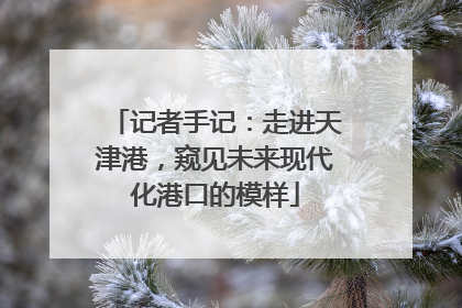 记者手记：走进天津港，窥见未来现代化港口的模样