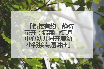 衔接有约，静待花开：福莱山街道中心幼儿园开展幼小衔接专题讲座