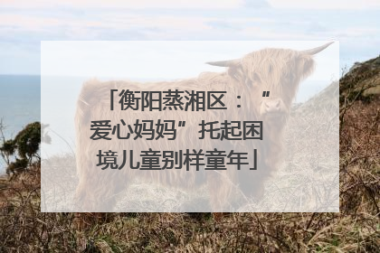 衡阳蒸湘区：“爱心妈妈”托起困境儿童别样童年