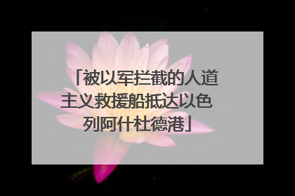 被以军拦截的人道主义救援船抵达以色列阿什杜德港