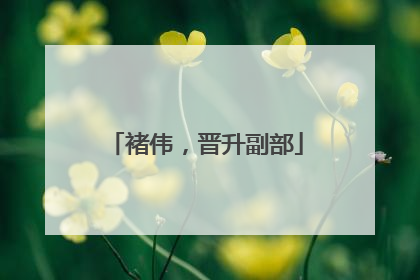 褚伟，晋升副部