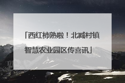 西红柿熟啦！北臧村镇智慧农业园区传喜讯
