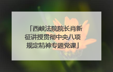 西峡法院院长肖新征讲授贯彻中央八项规定精神专题党课