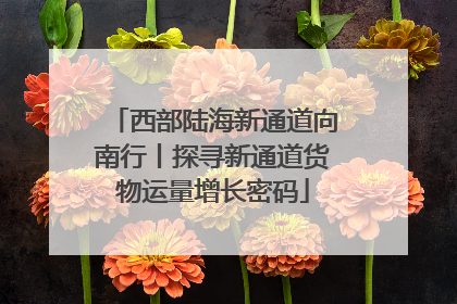 西部陆海新通道向南行丨探寻新通道货物运量增长密码