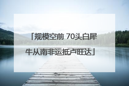 规模空前 70头白犀牛从南非运抵卢旺达