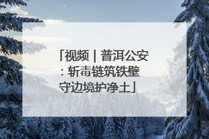 视频｜普洱公安：斩毒链筑铁壁 守边境护净土