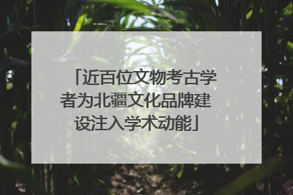 近百位文物考古学者为北疆文化品牌建设注入学术动能