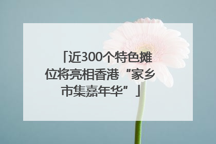 近300个特色摊位将亮相香港“家乡市集嘉年华”