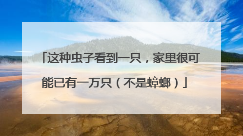 这种虫子看到一只，家里很可能已有一万只（不是蟑螂）
