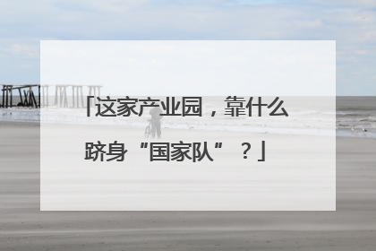 这家产业园，靠什么跻身“国家队”？