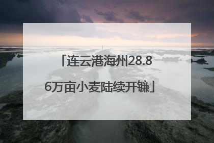 连云港海州28.86万亩小麦陆续开镰