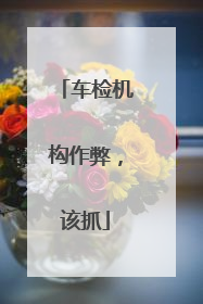 车检机构作弊，该抓