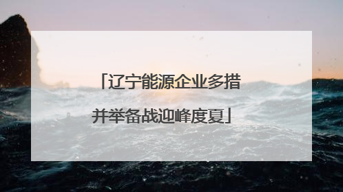 辽宁能源企业多措并举备战迎峰度夏