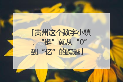 贵州这个数字小镇，“链”就从“0”到“亿”的跨越
