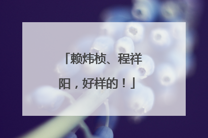 赖炜桢、程祥阳，好样的！