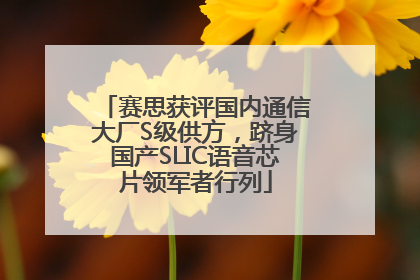 赛思获评国内通信大厂S级供方，跻身国产SLIC语音芯片领军者行列