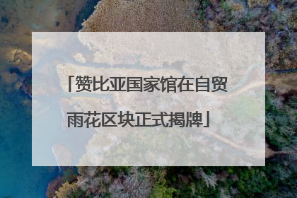 赞比亚国家馆在自贸雨花区块正式揭牌