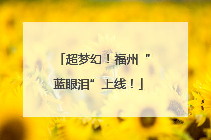 超梦幻！福州“蓝眼泪”上线！