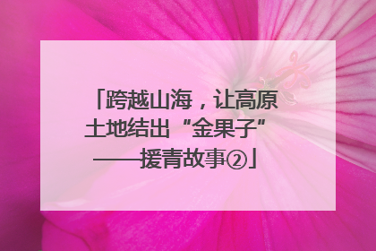 跨越山海，让高原土地结出“金果子”——援青故事②