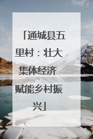 通城县五里村：壮大集体经济 赋能乡村振兴