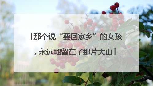 那个说“要回家乡”的女孩，永远地留在了那片大山