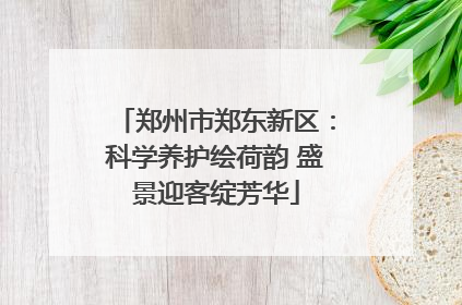 郑州市郑东新区：科学养护绘荷韵 盛景迎客绽芳华