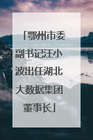 鄂州市委副书记汪小波出任湖北大数据集团董事长