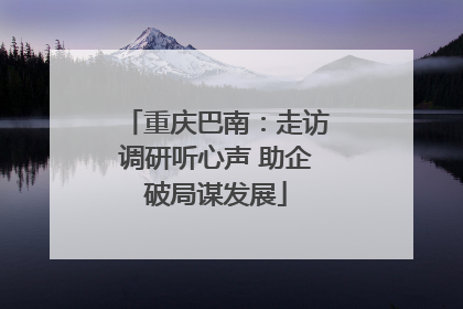 重庆巴南：走访调研听心声 助企破局谋发展