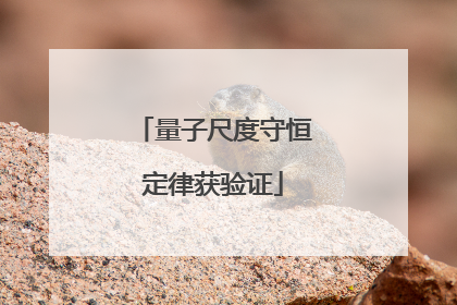量子尺度守恒定律获验证