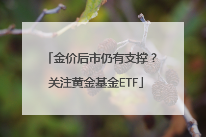 金价后市仍有支撑？关注黄金基金ETF