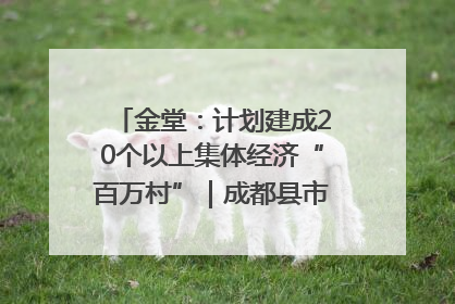 金堂：计划建成20个以上集体经济“百万村”｜成都县市新城高质量发展