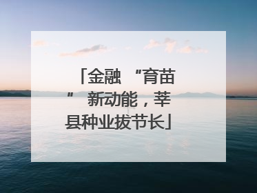 金融 “育苗” 新动能，莘县种业拔节长