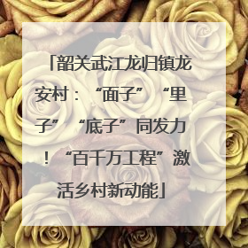 韶关武江龙归镇龙安村：“面子”“里子”“底子”同发力！“百千万工程”激活乡村新动能
