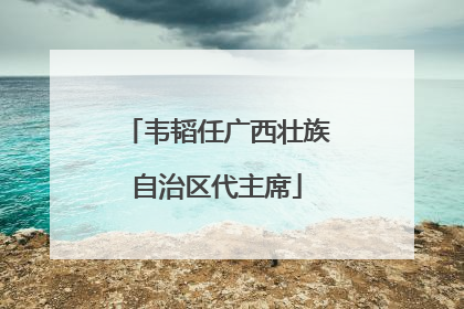 韦韬任广西壮族自治区代主席