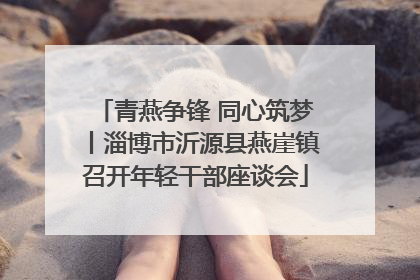 青燕争锋 同心筑梦丨淄博市沂源县燕崖镇召开年轻干部座谈会