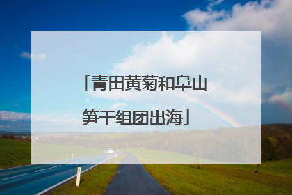青田黄菊和阜山笋干组团出海