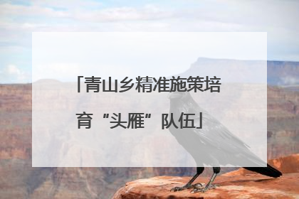 青山乡精准施策培育“头雁”队伍