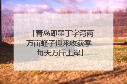 青岛即墨丁字湾两万亩蛏子迎来收获季 每天万斤上岸