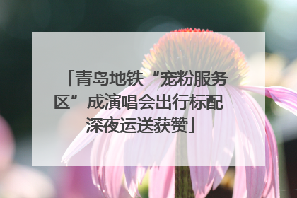 青岛地铁“宠粉服务区”成演唱会出行标配 深夜运送获赞