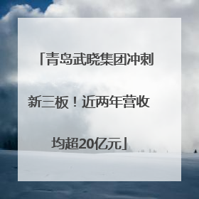 青岛武晓集团冲刺新三板！近两年营收均超20亿元
