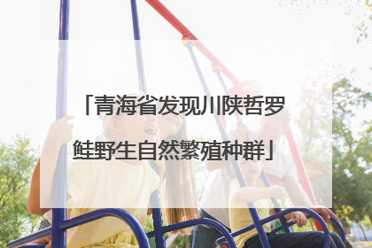 青海省发现川陕哲罗鲑野生自然繁殖种群