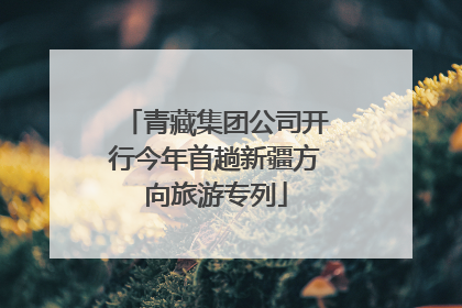 青藏集团公司开行今年首趟新疆方向旅游专列
