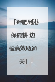 钾肥到港保夏耕 边检高效助通关
