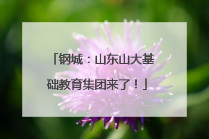 钢城：山东山大基础教育集团来了！