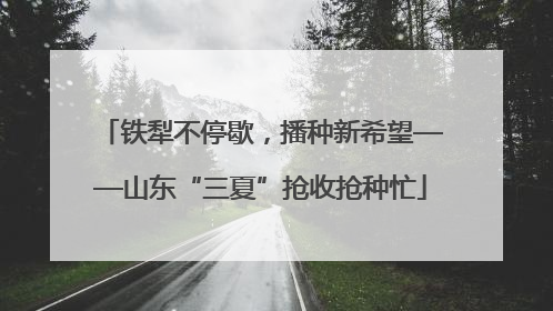 铁犁不停歇，播种新希望——山东“三夏”抢收抢种忙