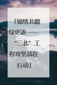 锦绣北疆绿更浓——“三北”工程攻坚战在行动