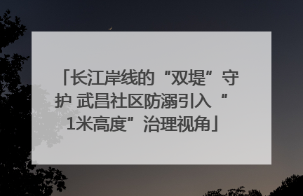 长江岸线的“双堤”守护 武昌社区防溺引入“1米高度”治理视角