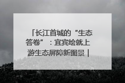 长江首城的“生态答卷”：宜宾绘就上游生态屏障新图景｜中华环保世纪行