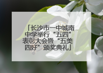 长沙市一中城南中学举行“五四”表彰大会暨“五美四好”颁奖典礼